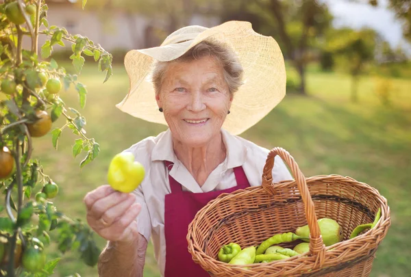 Senior vrouw in haar tuin — Stockfoto