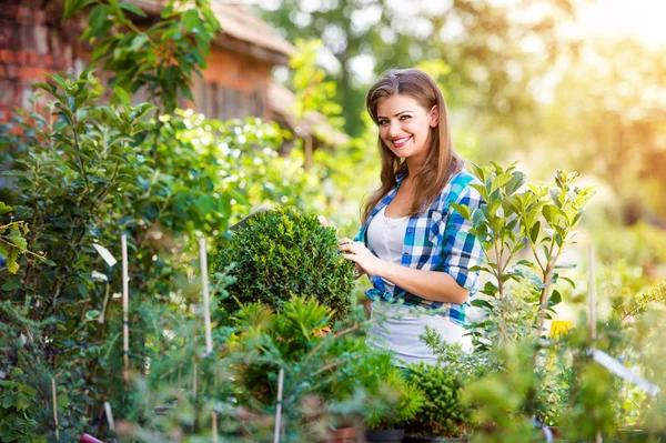 Frau arbeitet im Garten — Stockfoto