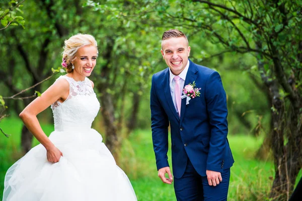 Beautiful young wedding couple — Stock Photo, Image