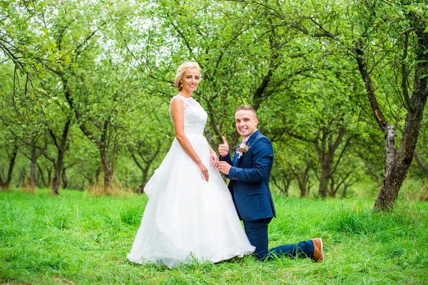 Schönes junges Hochzeitspaar — Stockfoto