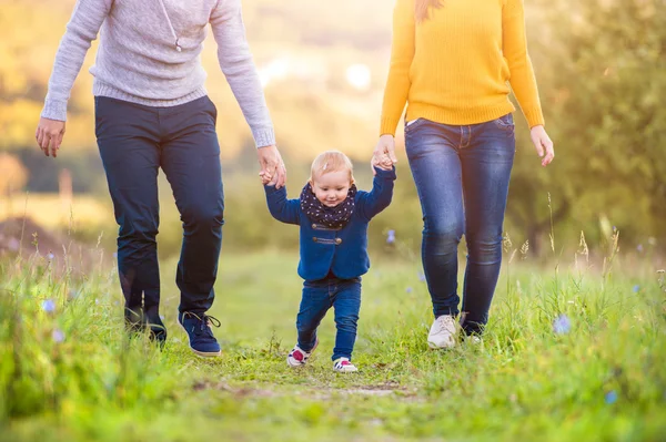 Happy family in nature — Stock Photo, Image