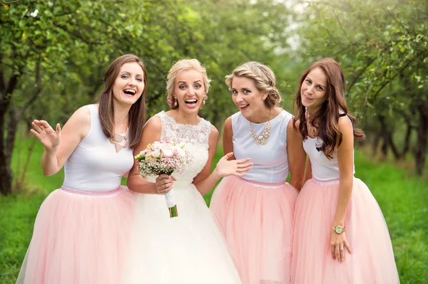Bruid met de bruidsmeisjes op bruiloft — Stockfoto