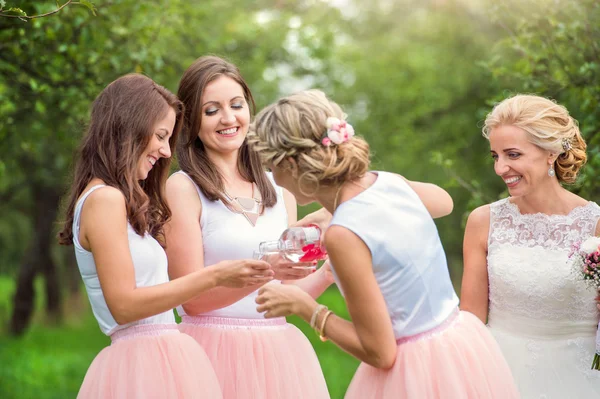 Braut mit Brautjungfern auf Hochzeit — Stockfoto