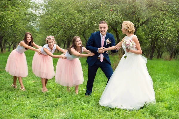 Pareja de boda y damas de honor — Foto de Stock