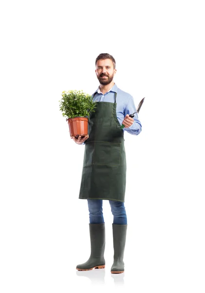 Jonge knappe tuinman — Stockfoto