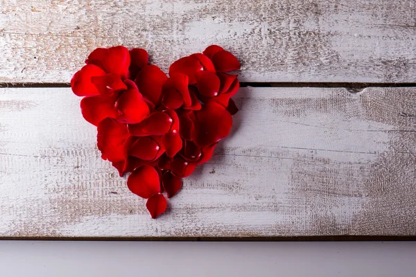 Composición de amor. Captura de estudio . — Foto de Stock