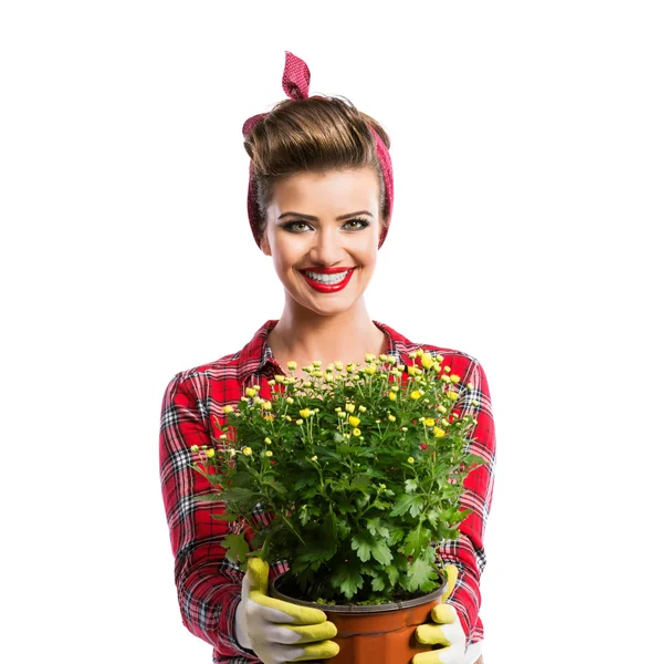 Woman with pin-up hairstyle holding flower pot with yellow daisi — Stockfoto