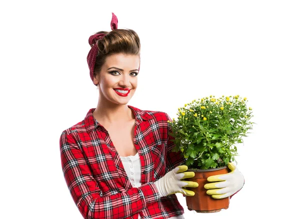 Woman with pin-up hairstyle holding flower pot with yellow daisi — Stockfoto