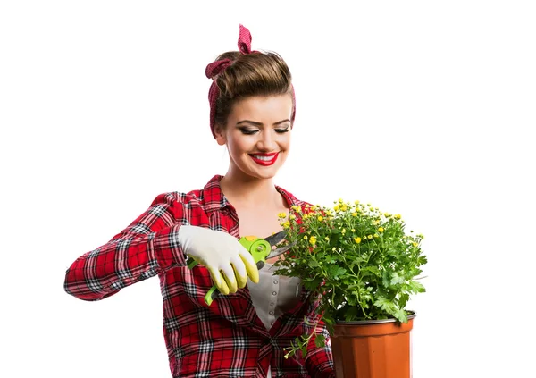 Pin-up girl holding flower pot with yellow daisies and shears — Stock fotografie