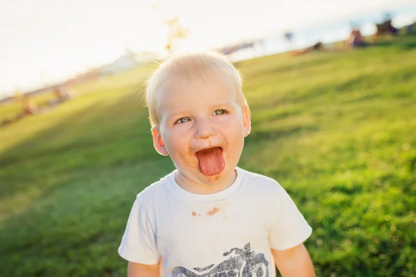 Kleiner Junge mit Schokoladengesicht auf der grünen Wiese, sonniger Sommer — Stockfoto