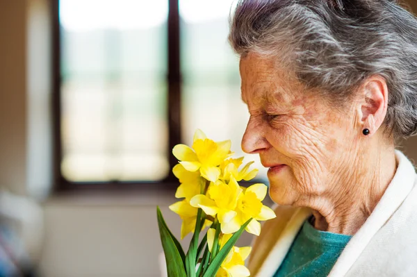 Senior woman by the window smelling bouquet of daffodils — Zdjęcie stockowe