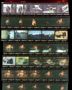 Contact sheet, the old color film positives in a transparent fil clipart