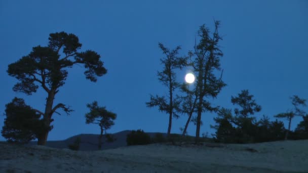 Volle maan nachtelijke hemel op het Baikalmeer. — Stockvideo