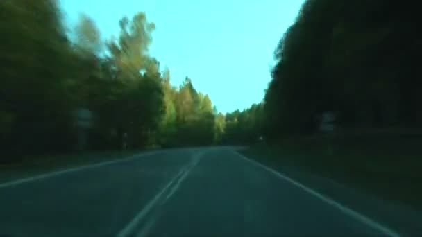 Jesienne road w pięknym lesie. — Wideo stockowe