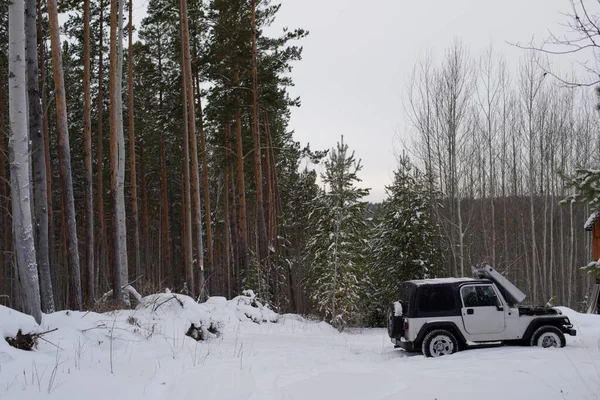 Jeepen Står Mitt Vinterskogen — Stockfoto