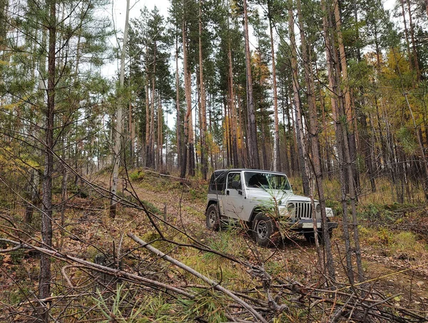 Jeep Uma Estrada Rural Floresta Outono — Fotografia de Stock