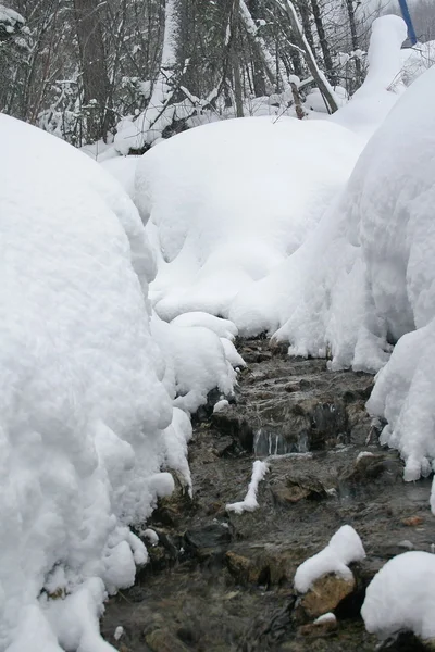 Winter mountain stream. — Stock Photo, Image