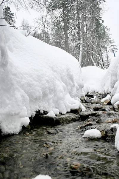 Winter mountain stream. — Stock Photo, Image