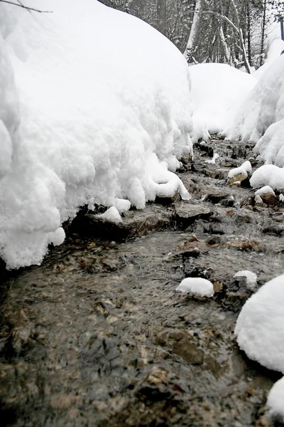冬の渓流. — ストック写真