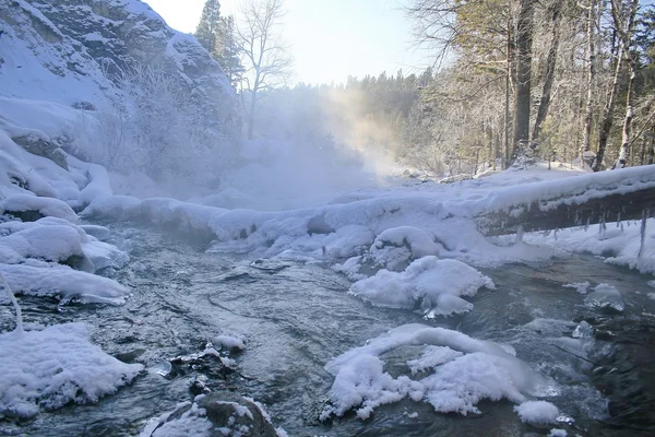 Winter mountain stream. — Stock Photo, Image