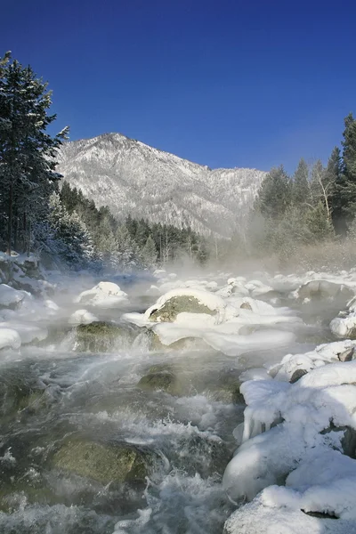 Zimní horské bystřiny. — Stock fotografie