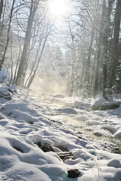 Winter mountain stream. — Stock Photo, Image