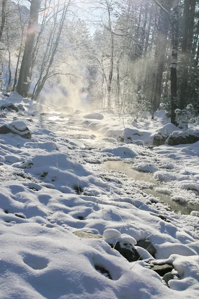 Zimní horské bystřiny. — Stock fotografie