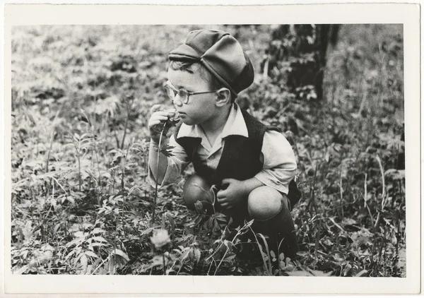 小さな男の子の肖像画. — ストック写真