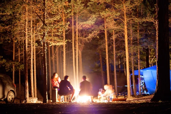 Turystów przy ognisku w nocy. — Zdjęcie stockowe