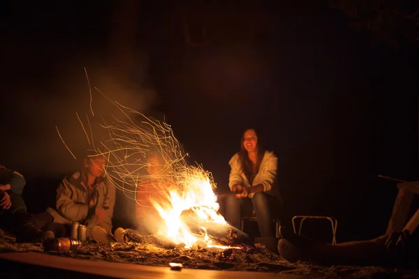 Tourists around the campfire at night. Stock Picture