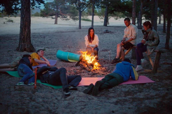 Tourists around the campfire at night. Royalty Free Stock Images