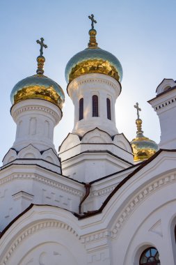 Irkutsk şehir kilisede Prens Vladimir'ın