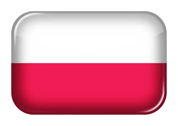 Botão Retângulo Ícone Web Polônia Com Recorte Caminho Ilustração — Fotografia de Stock
