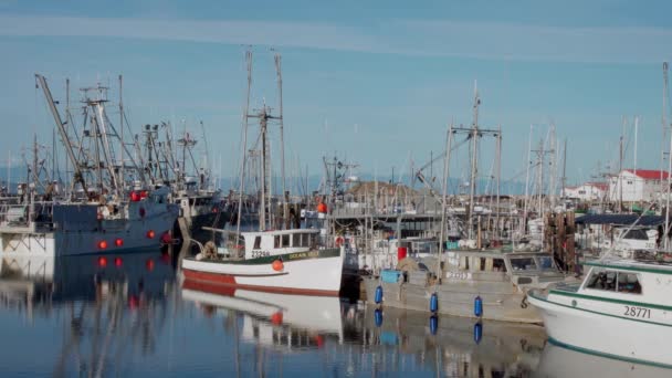 French Creek, Kanada - 29 sierpnia 2021 - komercyjne łodzie rybackie w porcie — Wideo stockowe