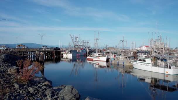 French Creek, Canada - 29 aug 2021 - Commerciële vissersboten in haven — Stockvideo