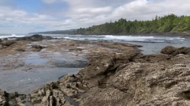 Botanik Körfezi ile Botanik Sahili arasında Juan De Fuca Provincial Parkı, Port Renfrew, British Columbia, Kanada