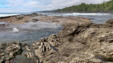 Botanik Körfezi ile Botanik Sahili arasında Juan De Fuca Provincial Parkı, Port Renfrew, British Columbia, Kanada