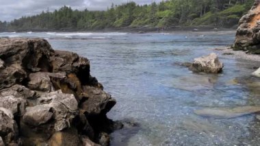 Port Renfrew, British Columbia, Kanada yakınlarındaki Juan De Fuca İl Parkı 'ndaki güzel Botanik Plajı