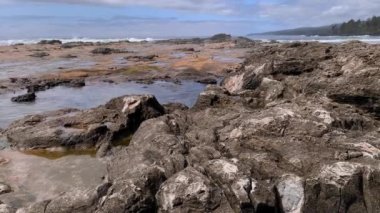 Botanik Körfezi ile Botanik Sahili arasında Juan De Fuca Provincial Parkı, Port Renfrew, British Columbia, Kanada