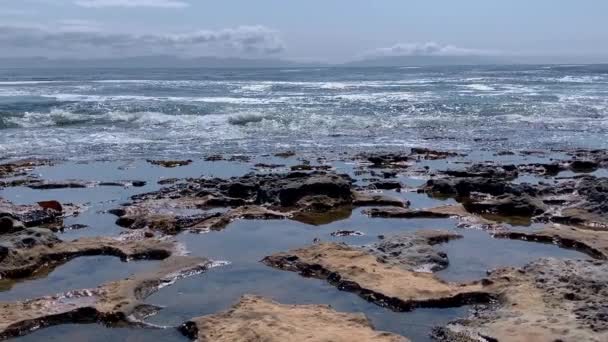 Formações rochosas de arenito e depósitos de buracos em Botanical Beach no Parque Provincial Juan De Fuca, perto de Port Renfrew, Colúmbia Britânica, Canadá — Vídeo de Stock