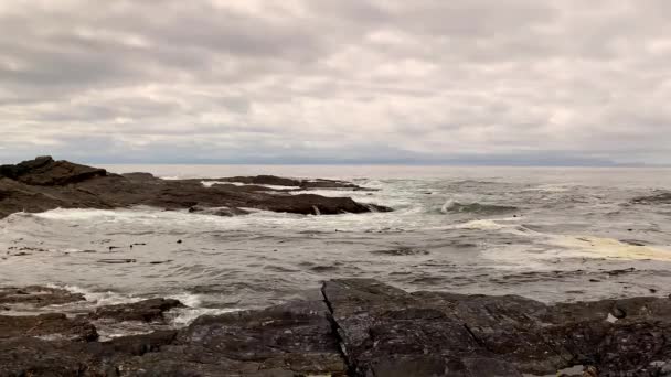 Wellen krachen auf Felsen in der Botany Bay neben dem Botanical Beach im Juan De Fuca Provincial Park in der Nähe von Port Renfrew, British Columbia, Kanada — Stockvideo