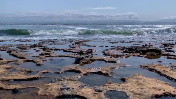 Formações rochosas de arenito e depósitos de buracos em Botanical Beach no Parque Provincial Juan De Fuca, perto de Port Renfrew, Colúmbia Britânica, Canadá — Vídeo de Stock