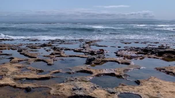 Formações rochosas de arenito e depósitos de buracos em Botanical Beach no Parque Provincial Juan De Fuca, perto de Port Renfrew, Colúmbia Britânica, Canadá — Vídeo de Stock