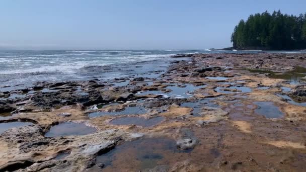 Песчаные скалы и ямы на Ботаническом пляже в Провинциальном парке Хуан-де-Фука, недалеко от Порт-Ренфрю, Британская Колумбия, Канада — стоковое видео