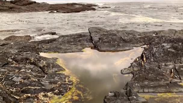 Waves crashing on rocks in Botany Bay beside Botanical Beach at Juan De Fuca Provincial Park, near Port Renfrew, British Columbia, Canada — Stock Video