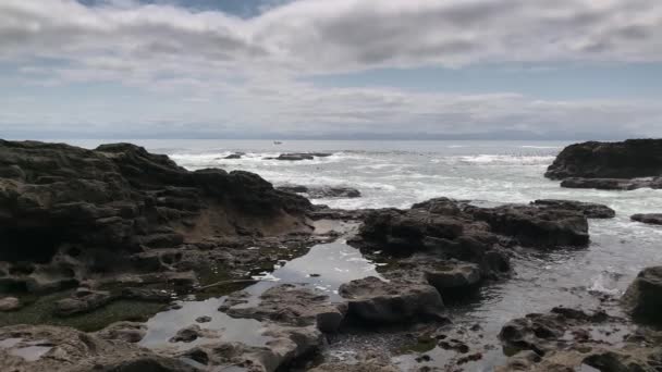 Przylądek między Zatoką Botaniczną a Plażą Botaniczną w Parku Prowincji Juan De Fuca, w pobliżu Port Renfrew, Kolumbia Brytyjska, Kanada — Wideo stockowe