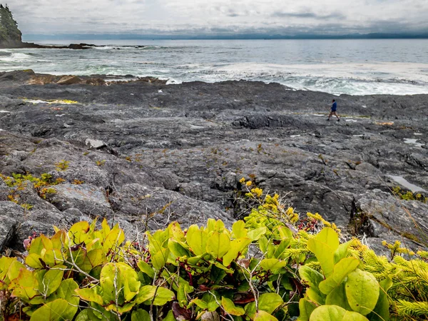 Srpen 8, 2021 - Botanická pláž, Kanada - Vegetace a osoba kráčející po členitých skalách pláže — Stock fotografie