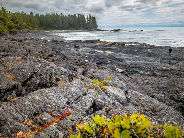 8 aug 2021 - Botanisch Strand, Canada - Vegetatie en wandelen op ruige rotsen van het strand — Stockfoto