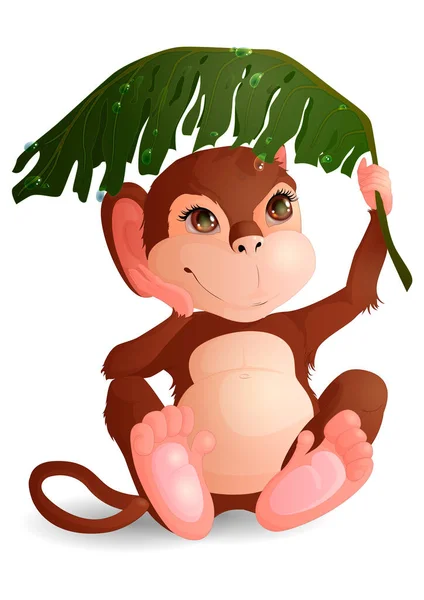 Ein Kleiner Affe Versteckt Sich Unter Einem Großen Nassen Blatt — Stockvektor