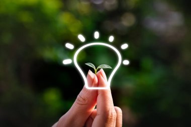 Tohum ekolojik çevrenin büyümesi için bir ağaç tutuyor.